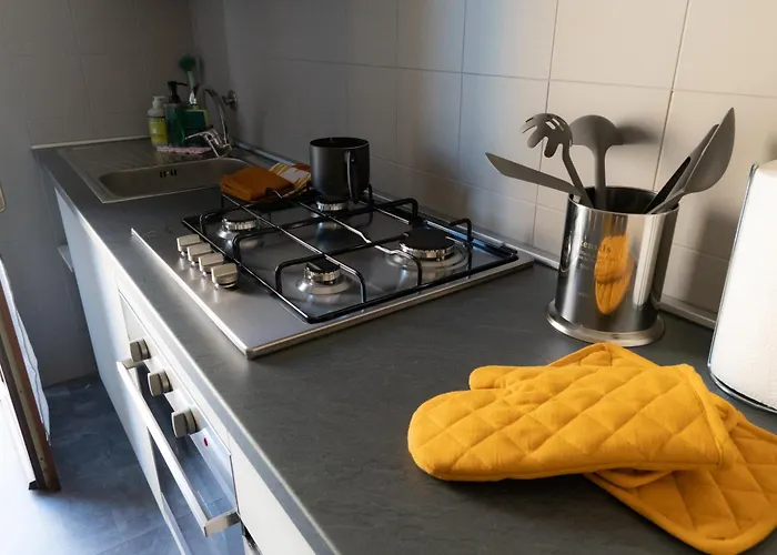 Urban B. 博洛尼亚